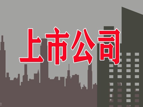 安迅商務(wù)告訴您：公司上市有什么好處？